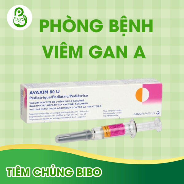 vac-xin-avaxim-phong-benh-viem-gan-a