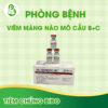 vac-xin-phong-benh-viem-mang-nao-mo-cau-b-c